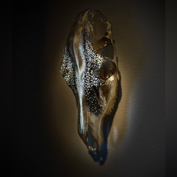 💀✨ hand painted cow elk skull - Picture 7 of 7